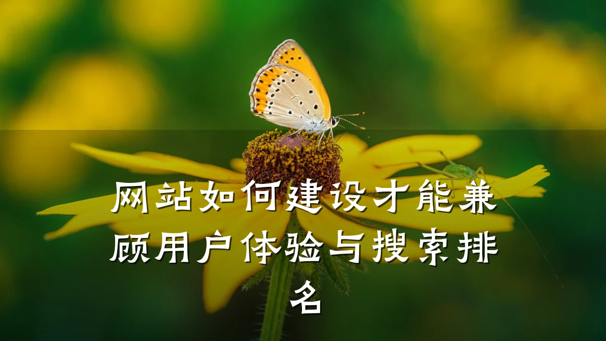 网站如何建设才能兼顾用户体验与搜索排名