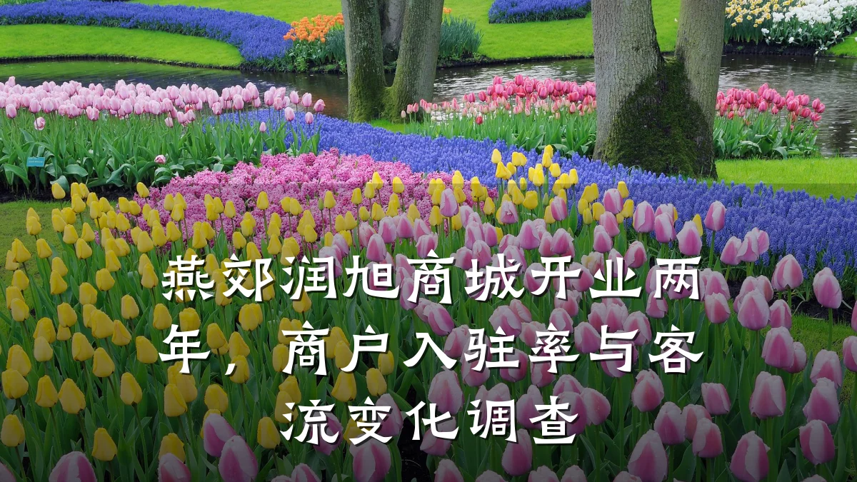 燕郊润旭商城开业两年，商户入驻率与客流变化调查