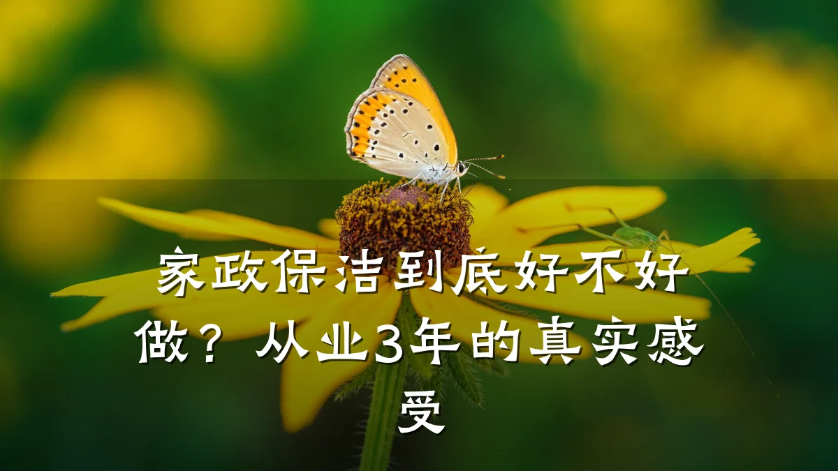 家政保洁到底好不好做?从业3年的真实感受