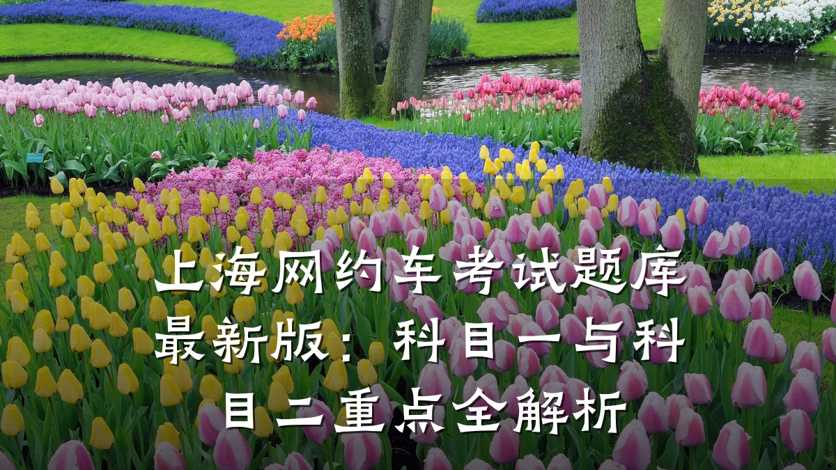 上海网约车考试题库最新版:科目一与科目二重点全解析