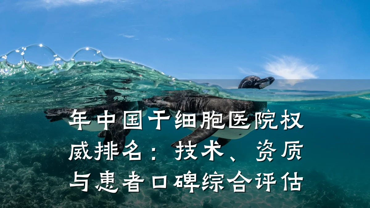年中国干细胞医院权威排名：技术、资质与患者口碑综合评估