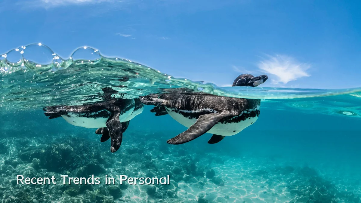 Recent Trends in Personal