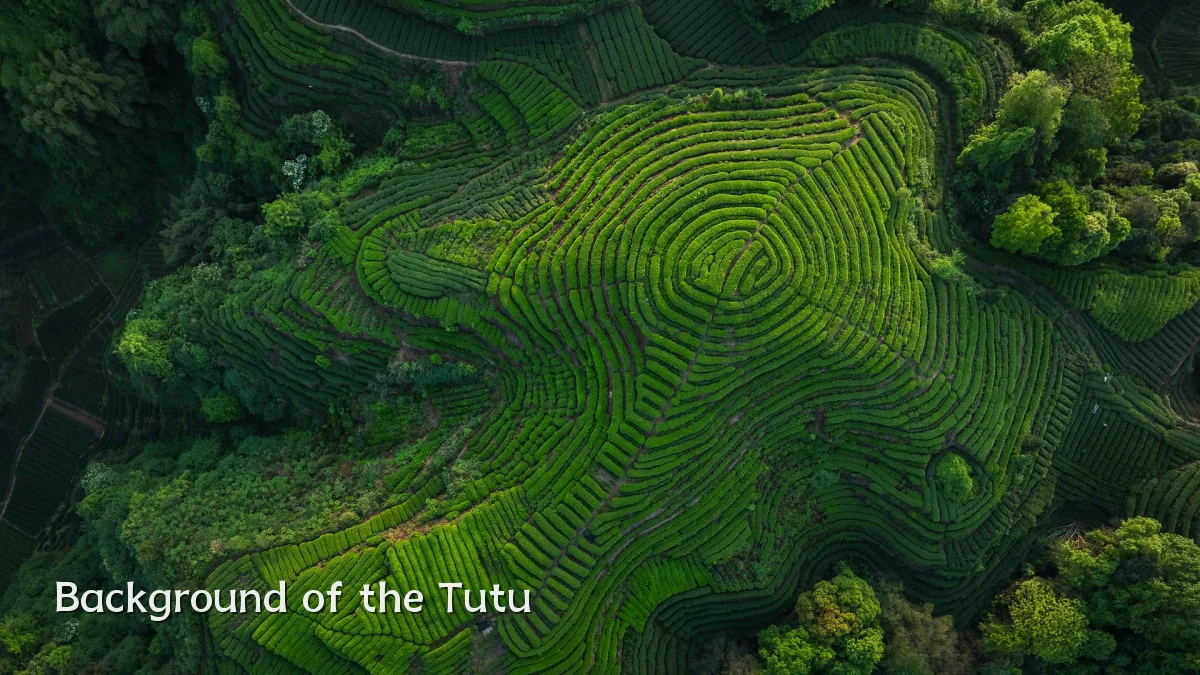 Background of the Tutu