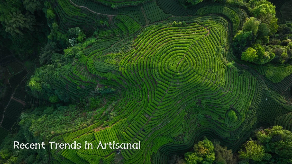 Recent Trends in Artisanal
