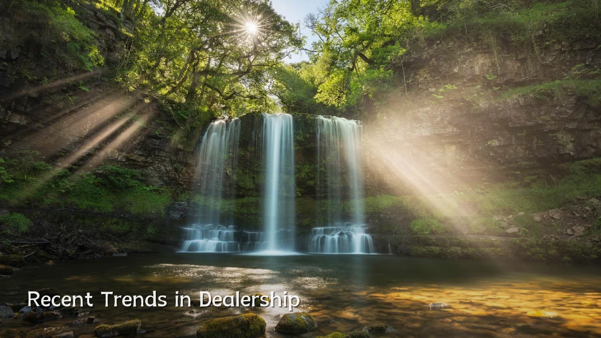 Recent Trends in Dealership
