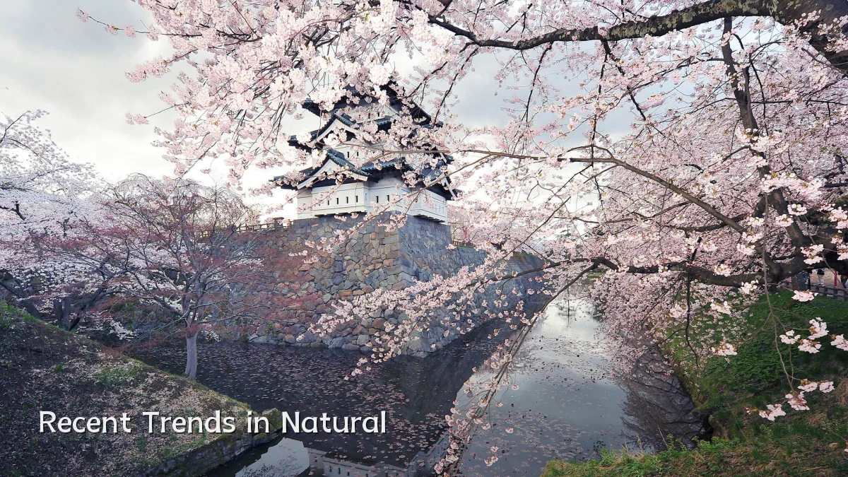 Recent Trends in Natural