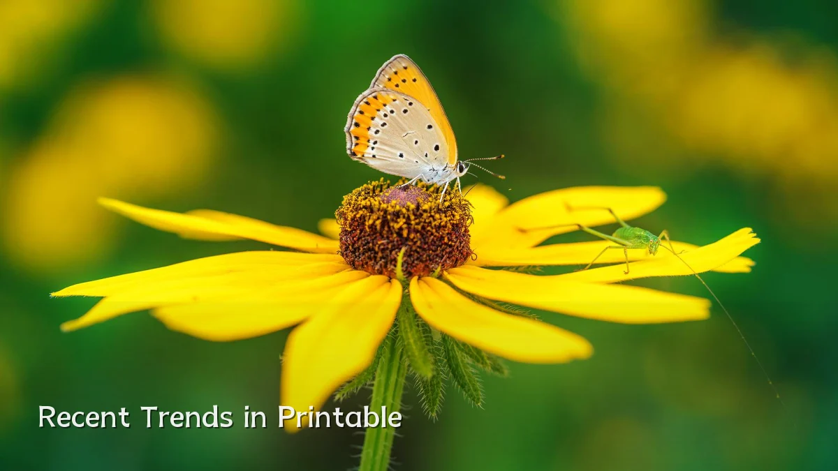 Recent Trends in Printable