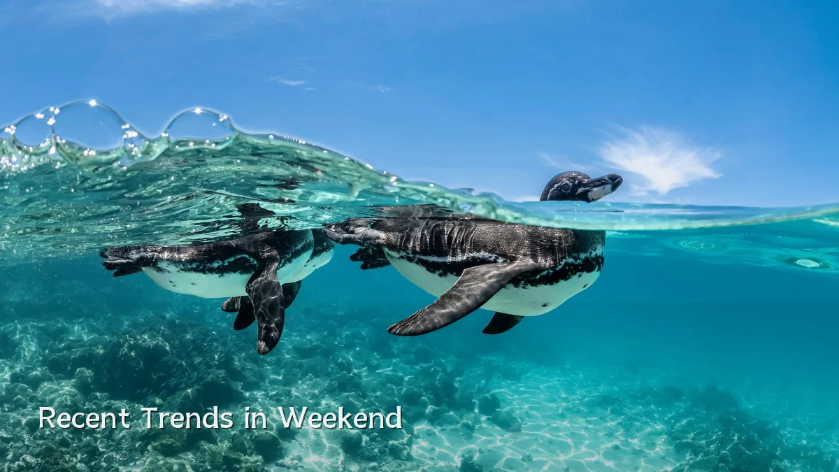 Recent Trends in Weekend