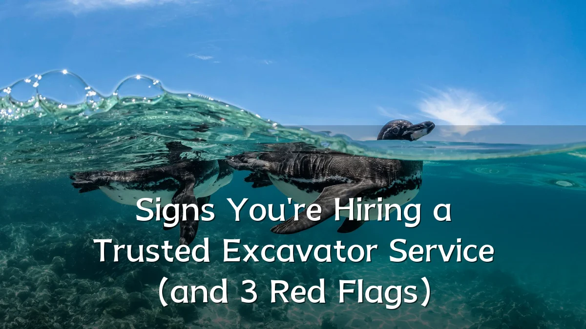 Signs You're Hiring a Trusted Excavator Service (and 3 Red Flags)