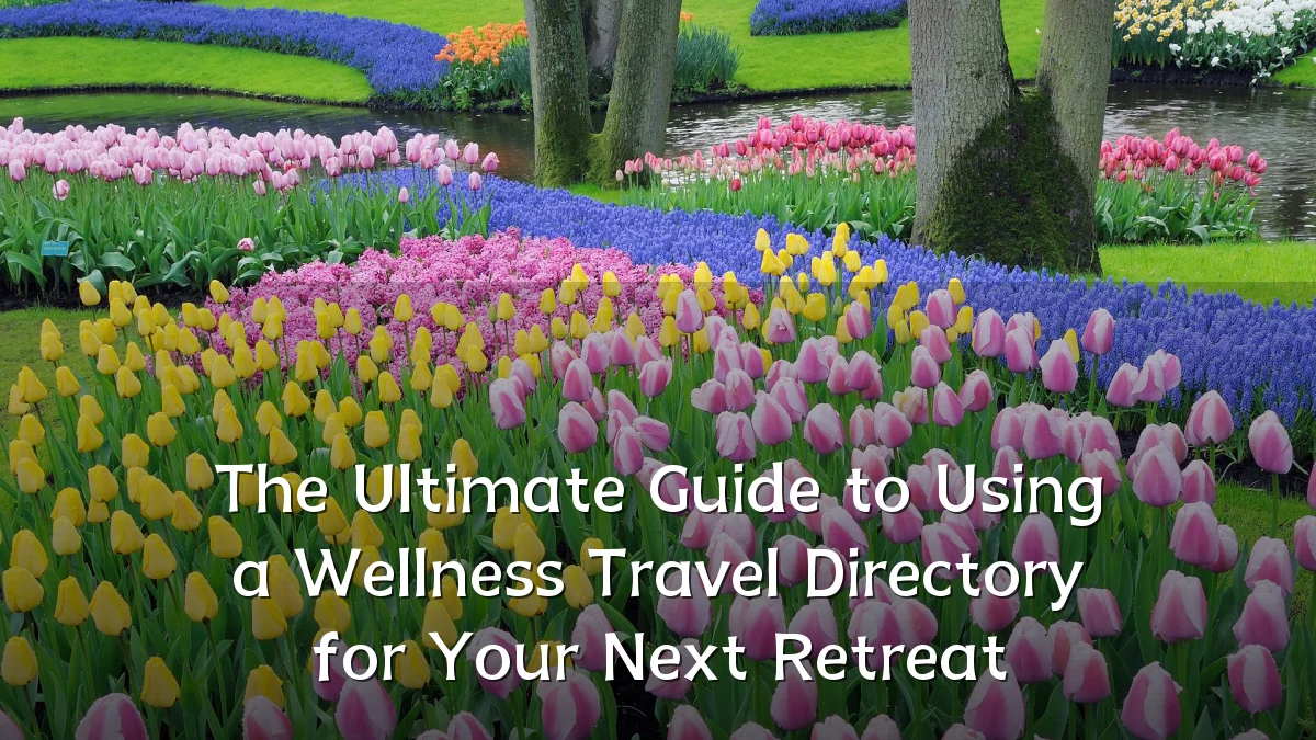The Ultimate Guide to Using a Wellness Travel Directory for Your Next Retreat