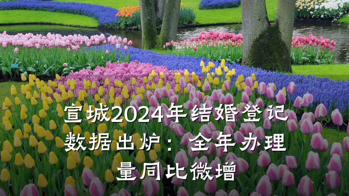 宣城2024年结婚登记数据出炉:全年办理量同比微增