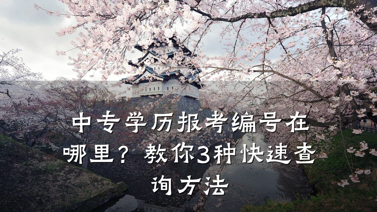 中专学历报考编号在哪里?教你3种快速查询方法