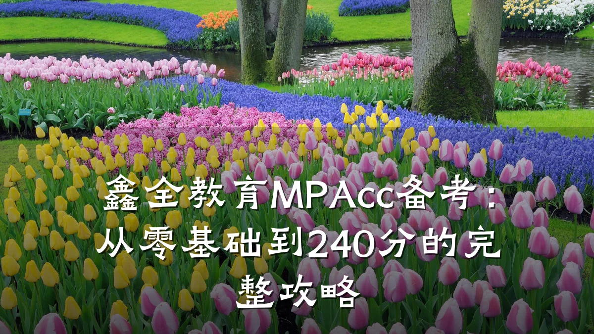 鑫全教育MPAcc备考：从零基础到240分的完整攻略