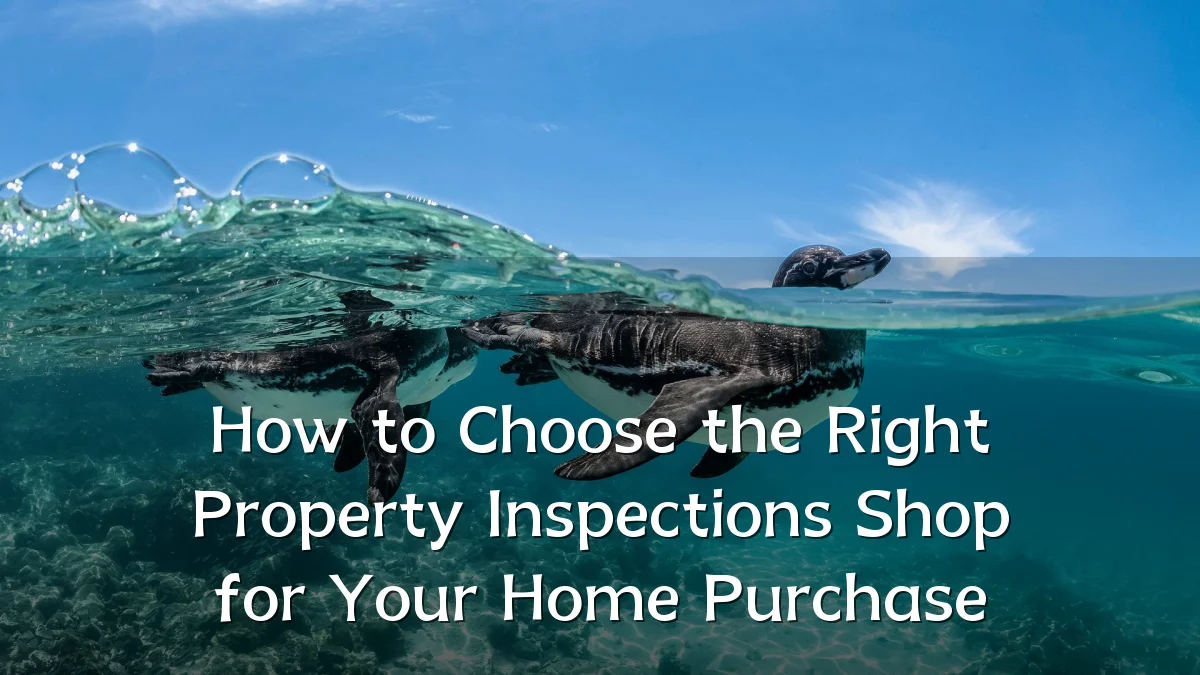 How to Choose the Right Property Inspections Shop for Your Home Purchase